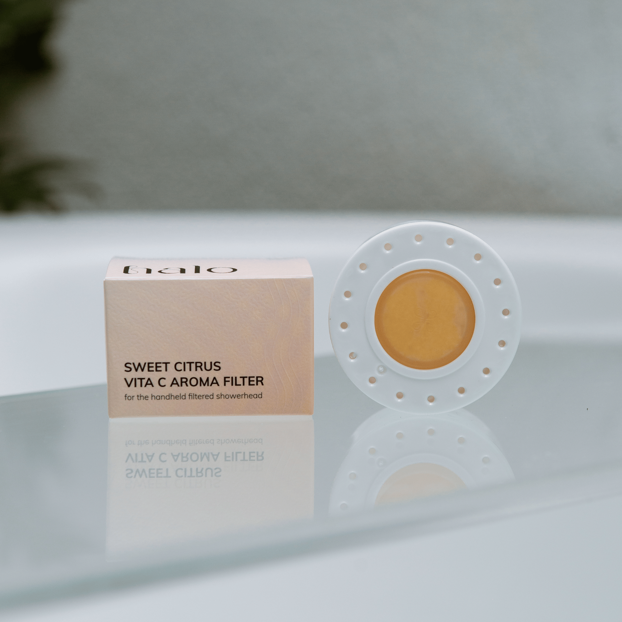 Vitamin C shower filter to remove chlorine and purify water
